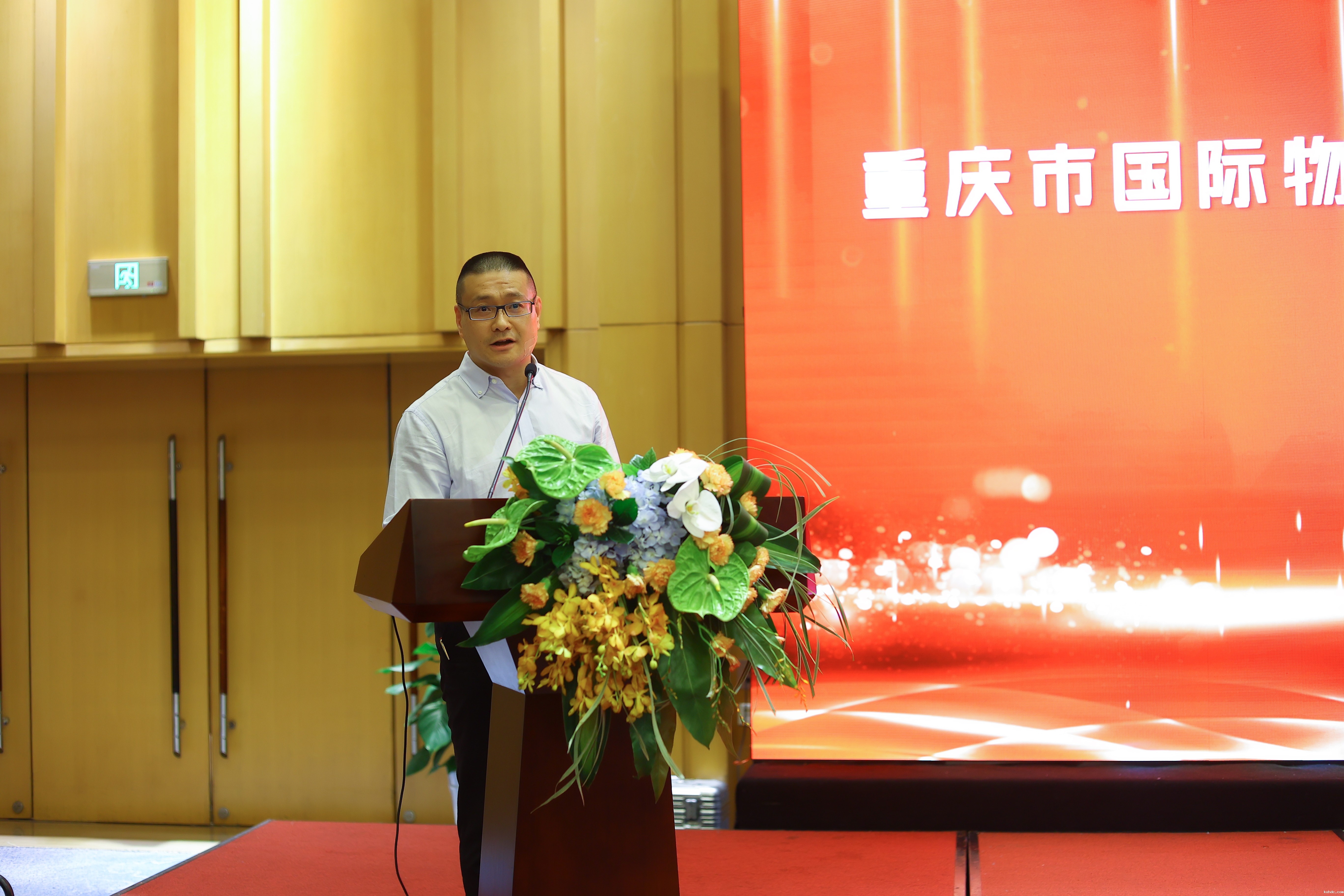 1724638541973752.jpg 1724638541973752.jpg